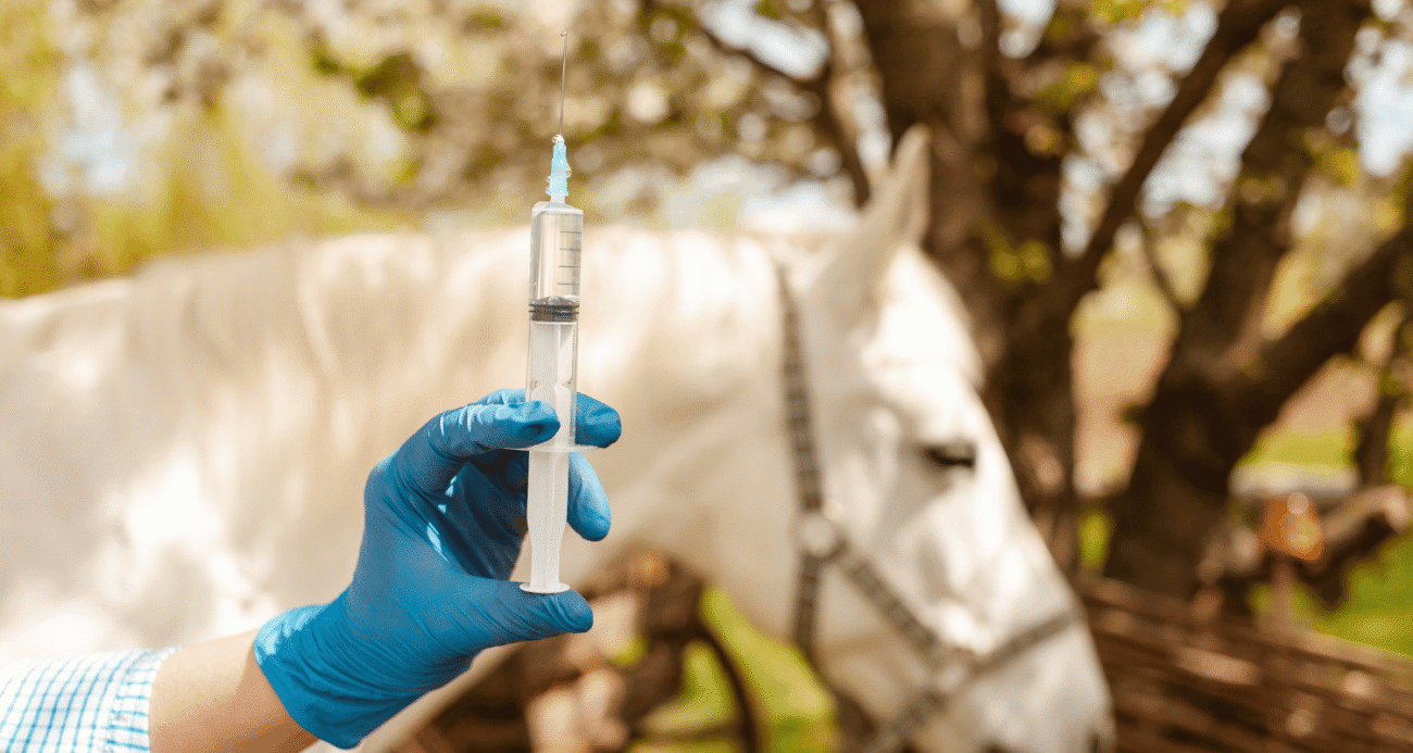 Is Ketamine a Horse Tranquillizer